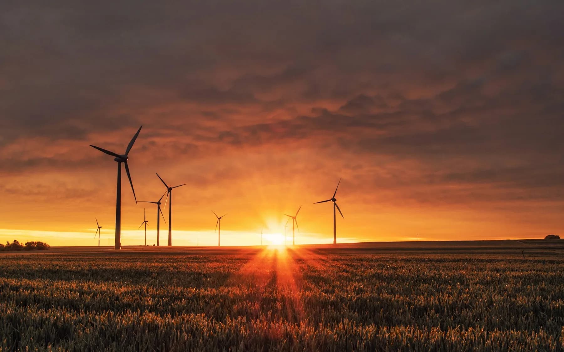 Renewable energy wind turbines for environmental management context